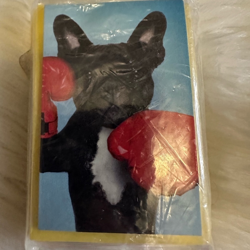 🩵5/$8 Boxing Dog mini greeting cards